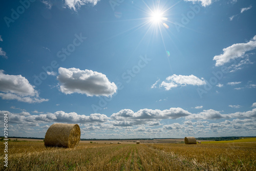 large rolls of straw lie on the harvested wheat field against the background of the Sunny blue sky