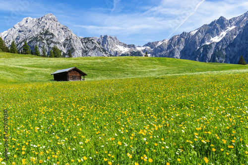 Amazing view of austrian alps and meadow near Walderalm, Austria, Gnadenwald, Tyrol Region