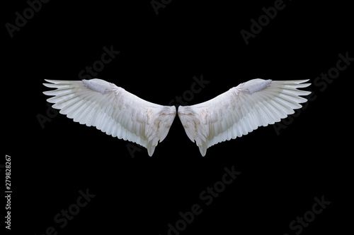 abstract, anatomy, angel, animal, background, big, bird, black, clipping path, color, concept, decoration, design, devil, eagle, elegance, element, fantasy, feather, flying, fragility, free, freedom, 