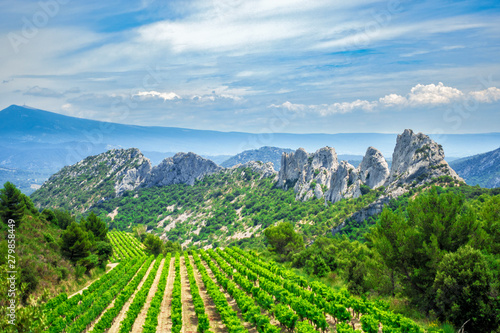 Weinbau im Angesicht des Mont Ventoux in den Dentelles de Montmirail in der Provence