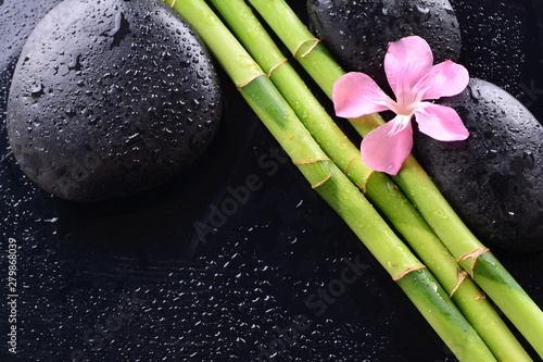 pink flower with black stones and bamboo grove on Wet black background. Spa Concept