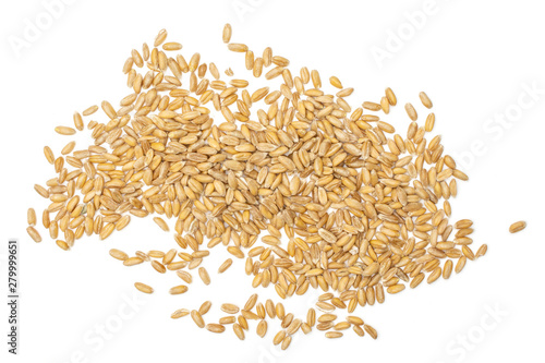 Lot of whole fresh beige dinkel wheat grain heap flatlay isolated on white background