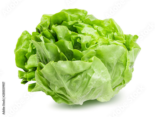 Fresh lettuce isolated on white background with clipping path