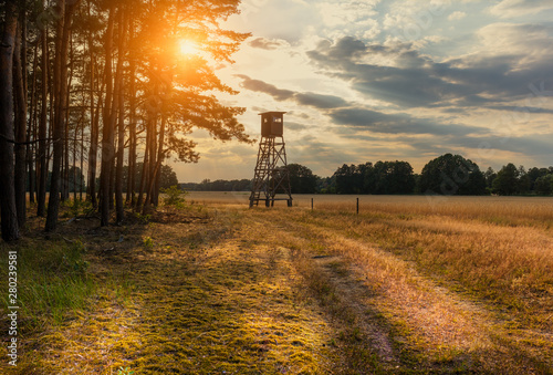 Jagd Jäger Hochsitz im Morgenlicht, Getreidefeld Landleben Weidwerk Forstwirtschaft Ackerbau, sommerabend, sonnenuntergang, früher abend abendstimmung abendlicht gegenlicht romantik jagd jäger