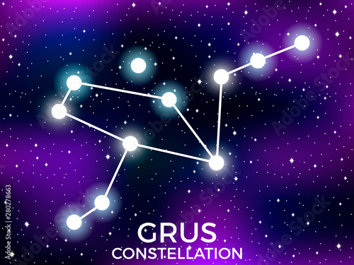 Grus constellation. Starry night sky. Cluster of stars and galaxies. Deep space. Vector illustration