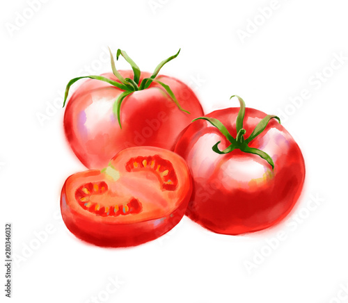 Hand drawn digital illustration in watercolor style. Red ripe realistic tomatoes, perfect rendered vegetables isolated on the white background