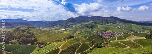 View from Staufenberg Castle to the Black Forest with grapevines near the village of Durbach in the Ortenau region_Baden, Baden Wuerttemberg, Germany