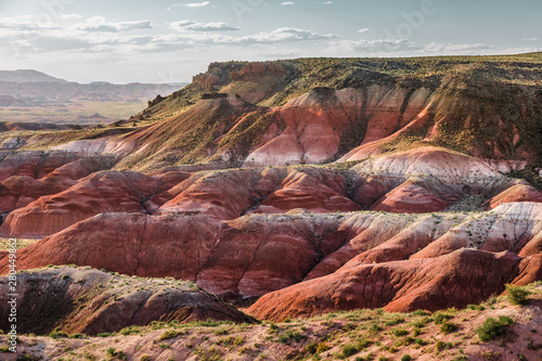 Petrified Forest National Park Landscape