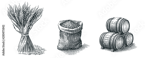 Malt in burlap bag, sheaf of wheat and wood barrels. Hand drawn engraving style 