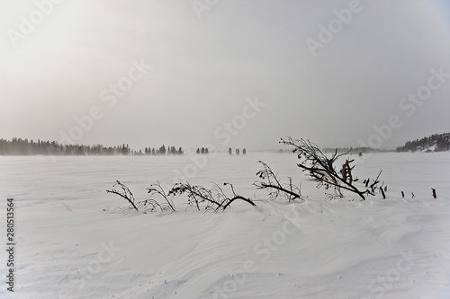 Yellowstone Winter