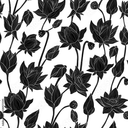 Water lily hand draw outline art seamless vector pattern in black and white. Hand draw illustration of lotus repeater background.