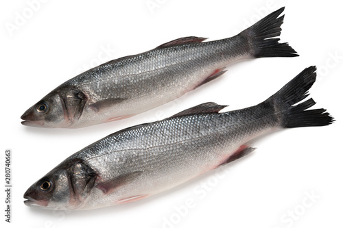 Two Sea bass fish isolated on white background
