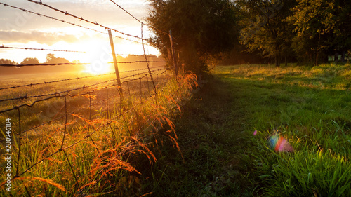 Rural livestock fencing, sunrise in a pasture