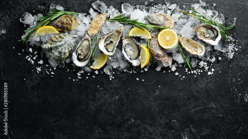 Oyster with lemon on ice. Seafood. Top view. On a black background. Free copy space.