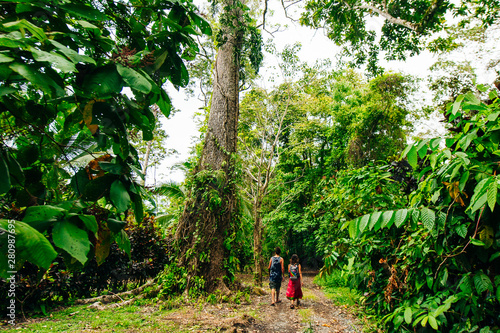 thick jungle of Corcovado National Park, Costa Rica