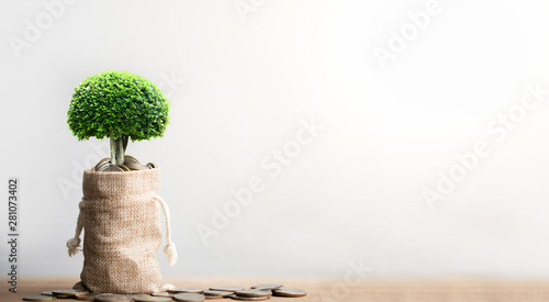 Coins in sack and small plant tree. Pension fund, 401K, Passive income. savings and making money. Investment and retirement. Business investment growth concept. Risk management.