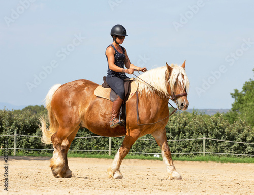 riding girl and horse