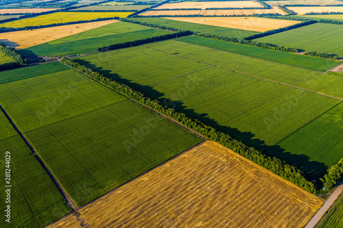 Aerial Flying Over corn, sunflowers, soybean and fields with straw bales