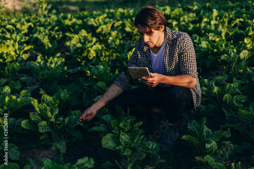 Agronomist in a field taking control of the yield with ipad and regard a plant