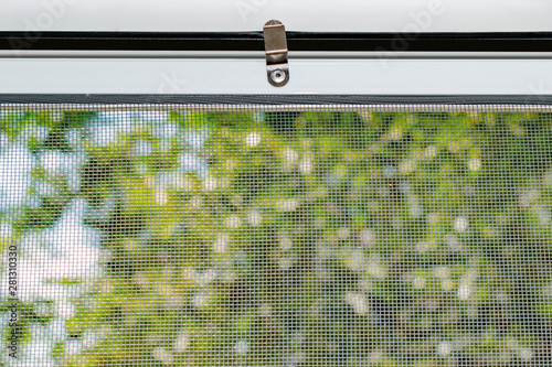 A fly trying to get through the mosquito net