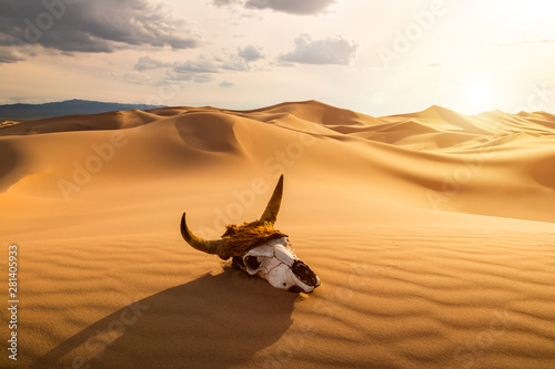 Skull bull in the sand desert at sunset. The concept of death and end of life