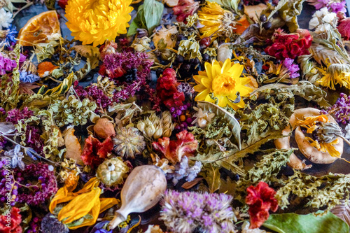 A colorful closeup of dried flowers, dried oranges, fragrant herb leaves, and seedpods used as flower confetti or potpourri