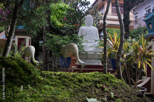 Stone herons and buddha statue. Scenes from rural life on a sunny day
