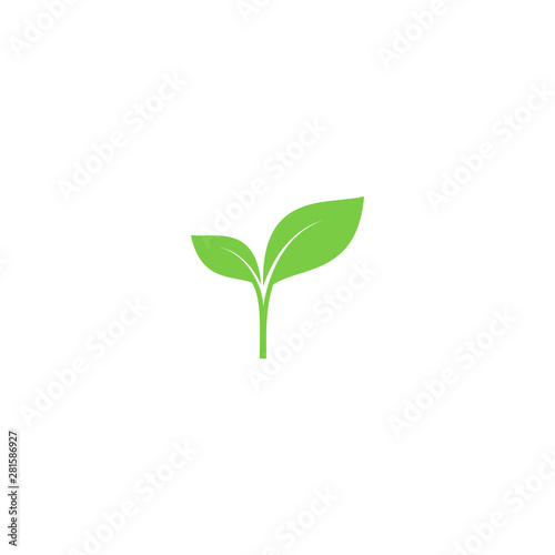 Young sprout green vector icon. Sprout with leaves simple plant symbol.