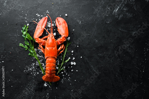 Lobster with spices on a dark background. Top view. Free copy space.