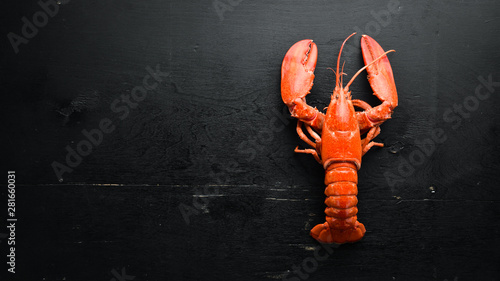 Boiled lobster on black background. Top view. Free copy space.