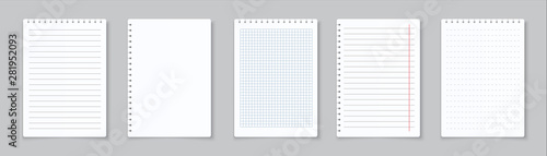 Realistic lined notepapers. Blank gridded notebook papers for homework and exercises. Vector pads paper sheets with lines and squares for memo