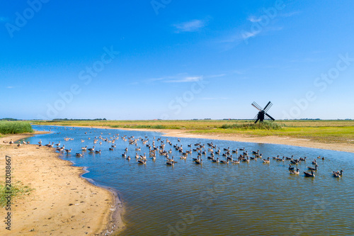 Little windmill on the island Texel