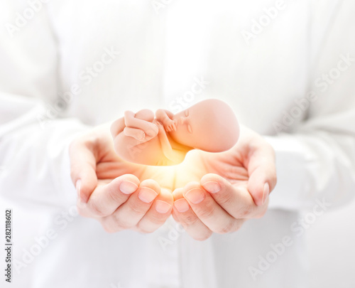 Human embryo in hands