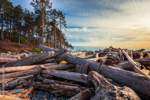 Piles of Driftwood on Ruby Beach