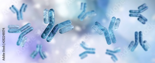 ntibody, immunoglobulin, Y-shaped protein produced mainly by plasma cells