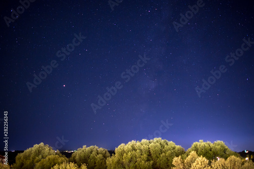 Night sky stars over olive tree in Kefalonia island, Greece.