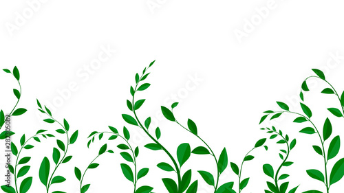 Background with leaves and branches, vector illustration. branches