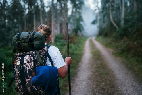 Way of Saint James pilgrim backpacker female going by the path through Eucalyptus forest back view image shoot.