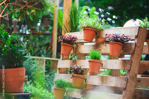 DIY recycled wooden pallet for flower pots. Storage industrial pallet used in gardening for a wall decoration as a shelf for flowerpots. Garden with planters made of recycled wooden pallets