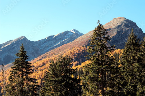 Passo San Bernardino, Switzerland. The colors of autumn on the way to the top.