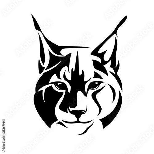 wild lynx looking straight forward - bobcat en face head black and white vector design