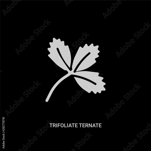 white trifoliate ternate vector icon on black background. modern flat trifoliate ternate from nature concept vector sign symbol can be use for web, mobile and logo.