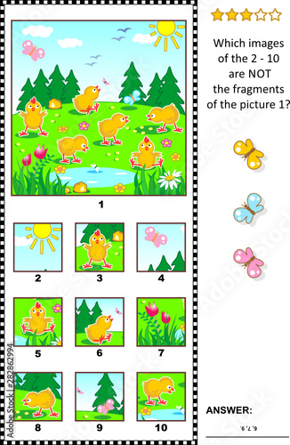 Spring, Easter or summer visual logic puzzle with happy playful chicks feeding outdoor: What of the 2 - 10 are not the fragments of the picture 1? Answer included.