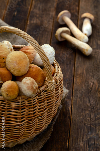 Basket with mushrooms and mushrooms on boletus