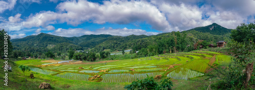 Panoramic rice terraces at mae klang luang, inthanon mountain. Chiang mai, Thailand. Scenery view of rice field, mountain and cloud sky
