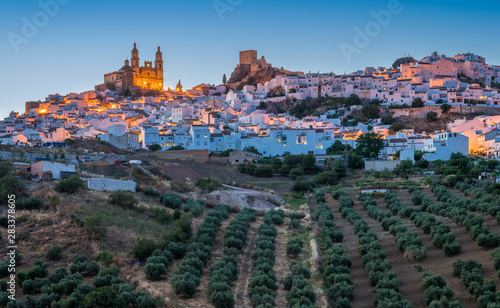 Panoramic sight at sunset in the beautiful Olvera, province of Cadiz, Andalusia, Spain.