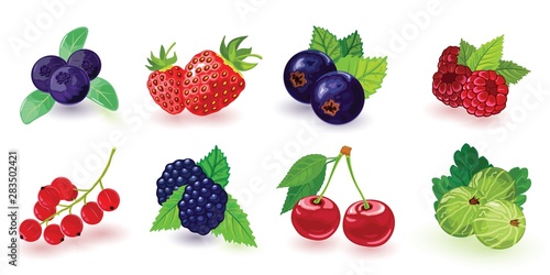 Big set of summer ripe berries picking in garden or forest. Blueberry, blackberry, gooseberry, red and black currant, raspberry, strawberry, cherry with leaves. Cartoon icons isolated on white.