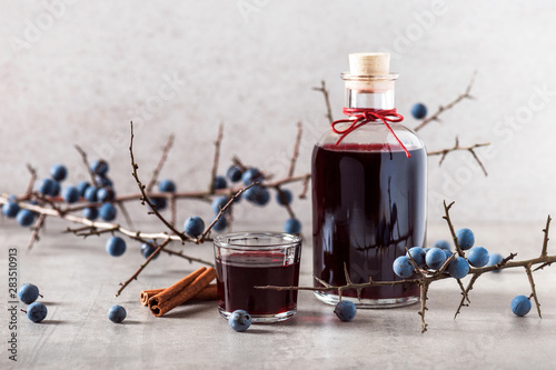 Homemade sloe berry alcohol drink, berries liqueur. Selective focus. Copy space.