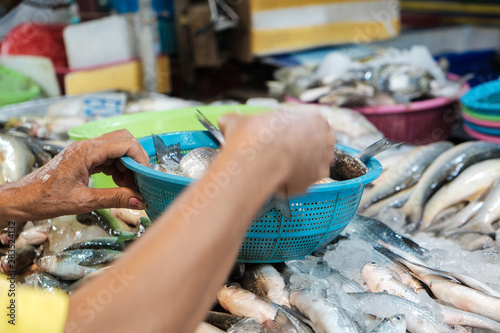 Fresh sea fish sell in local fishery market in Samutprakan