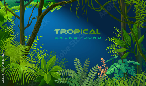 Serene night forest with tropical vegetation with leaves, trees, creepers and bushes.